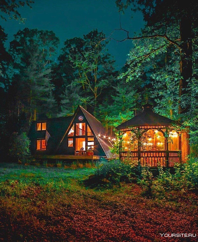 Forest House Омск