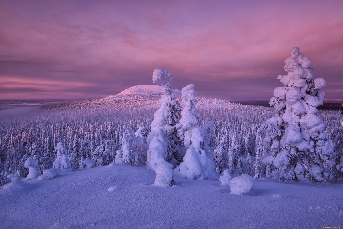 Лапландия Финляндия снег