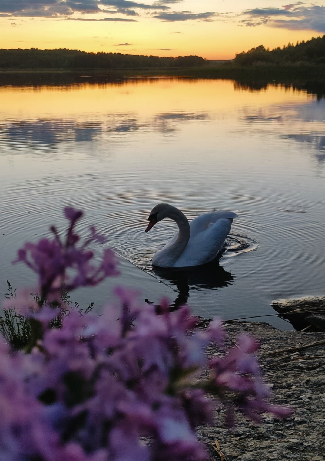 Разная природа