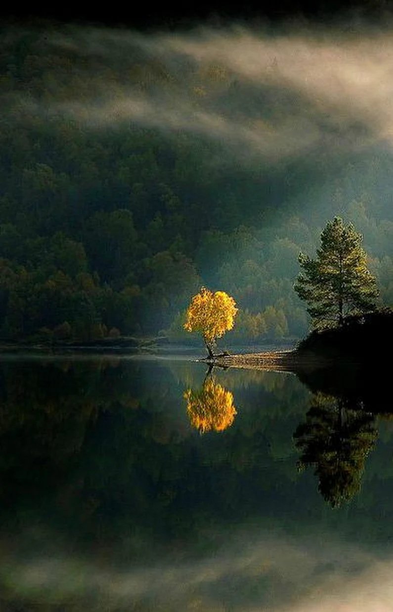 Отражение природы в воде