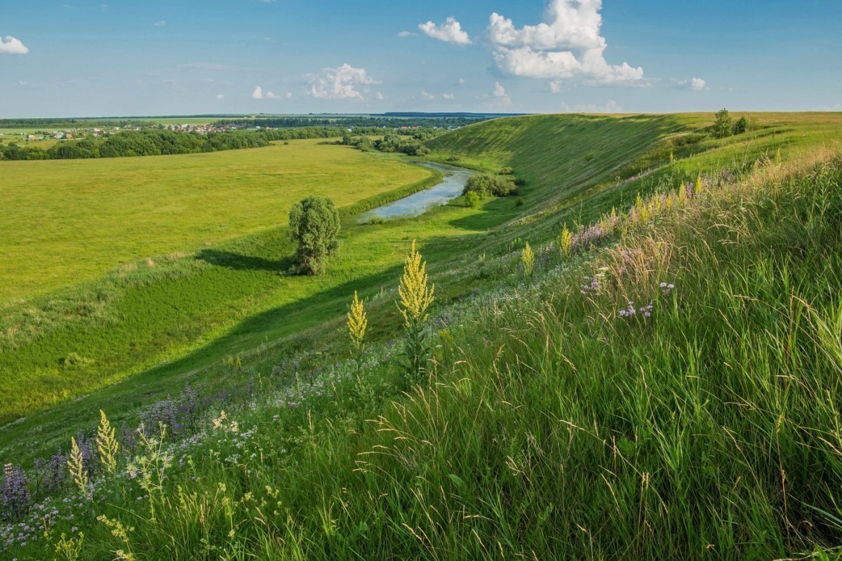 Татарстан Старица река