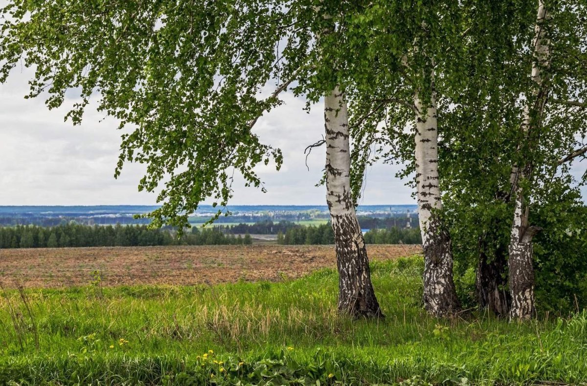 Природа Лаишевского района