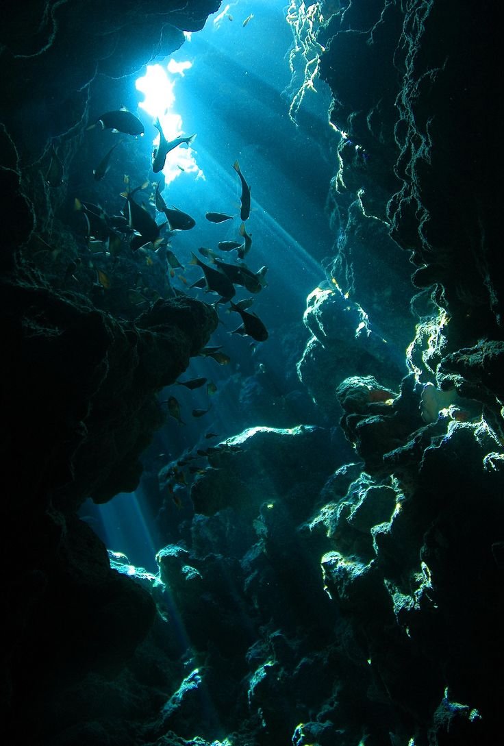 Sea aesthetic