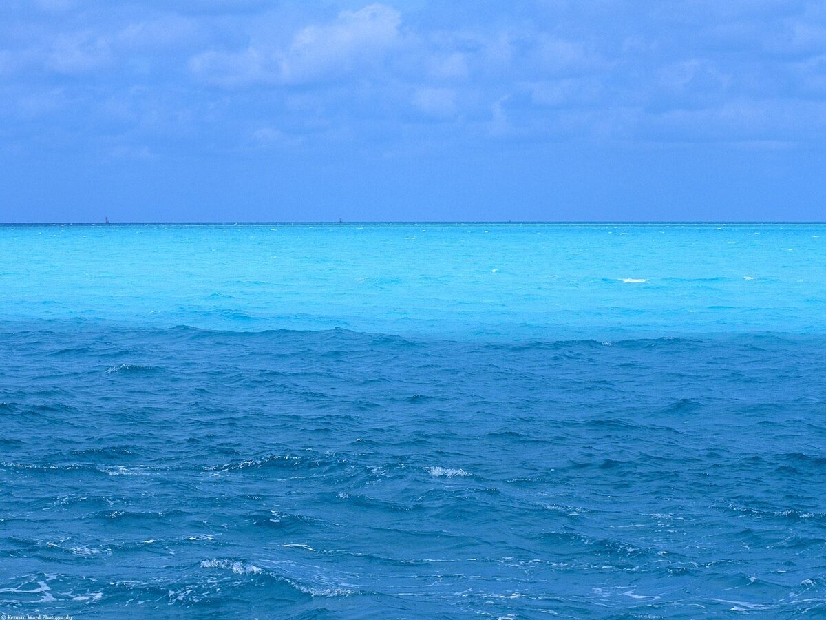 Тихое море