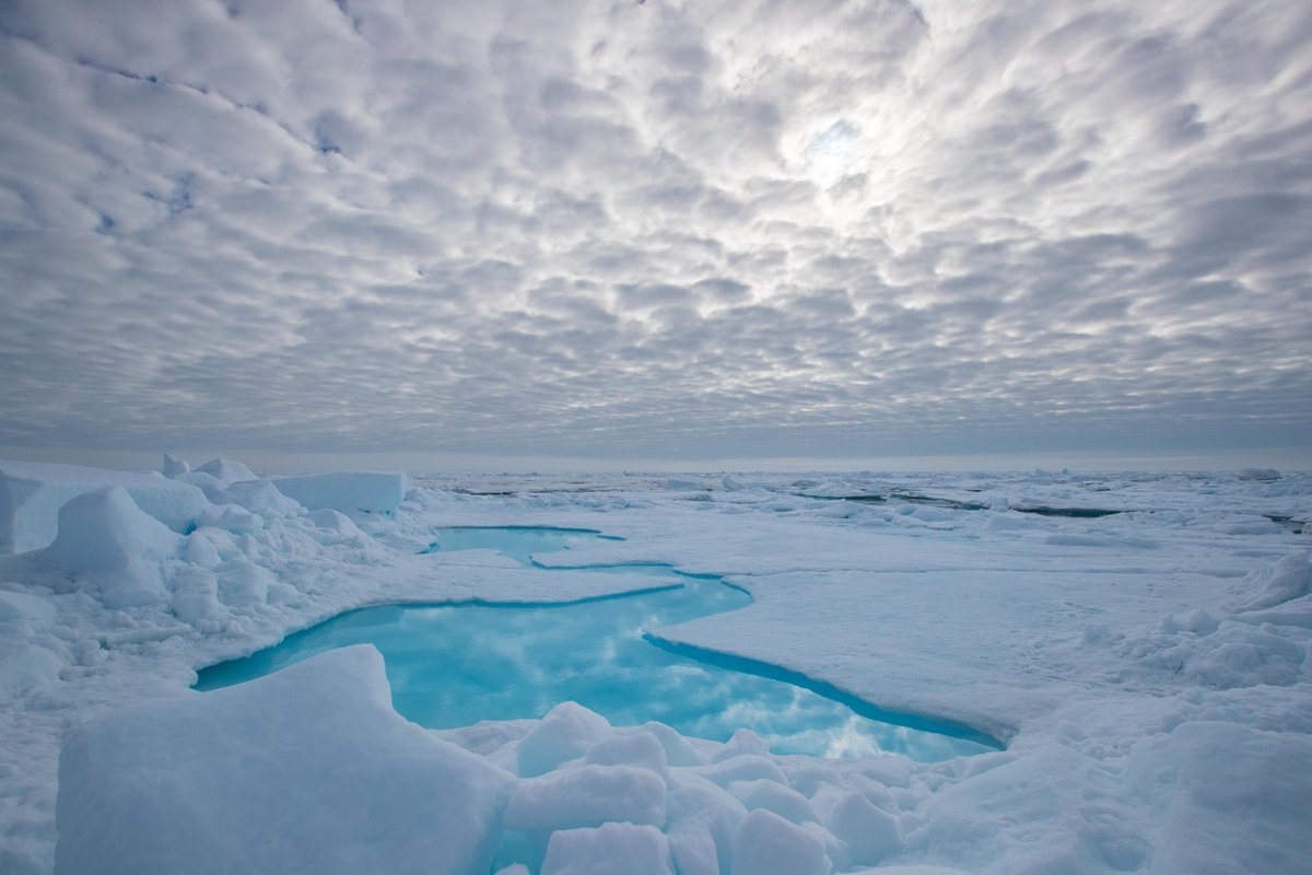 Arctic Ice