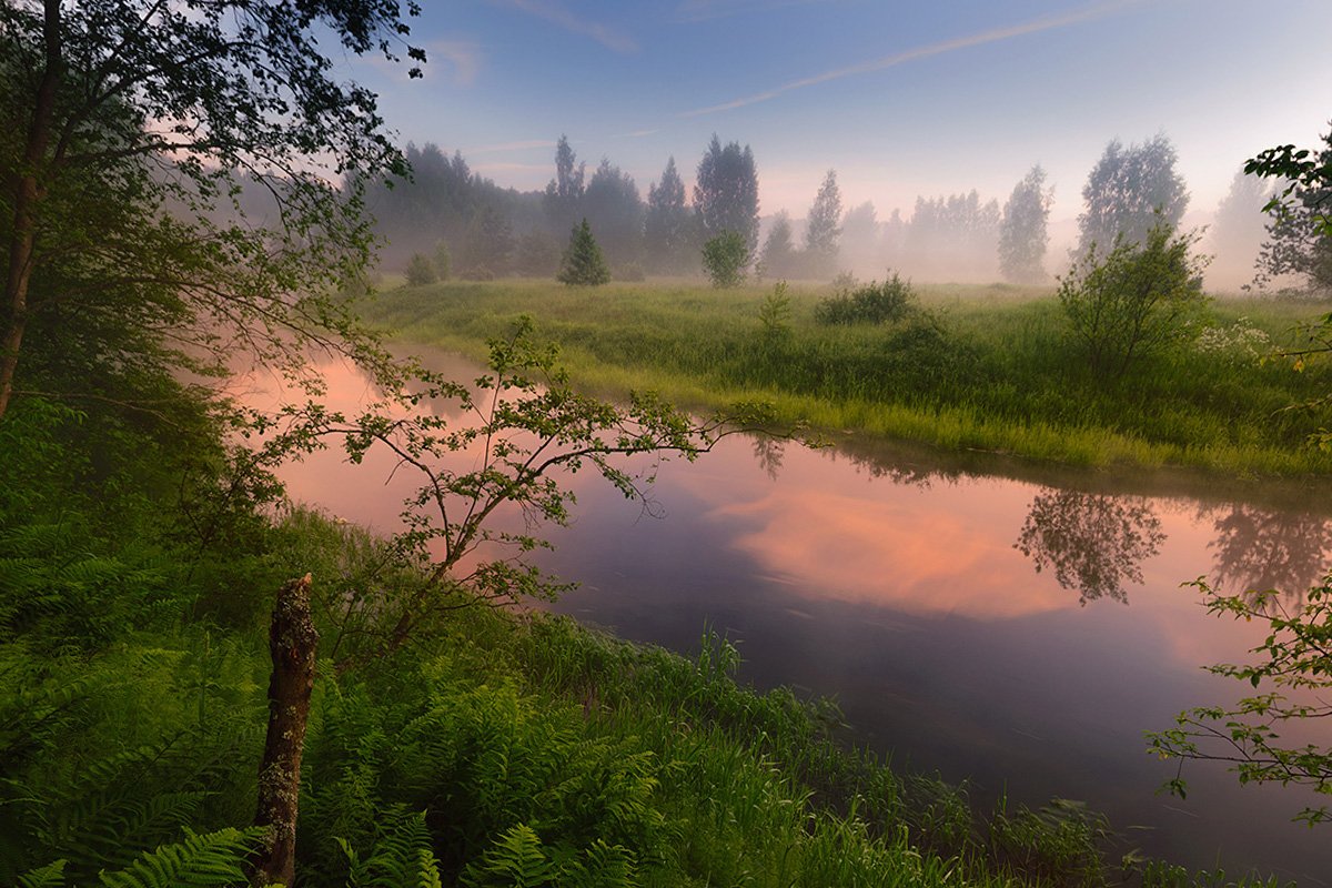 Утренняя река