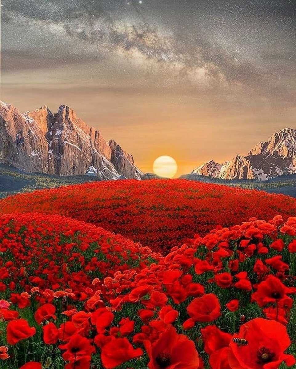 Красота природы