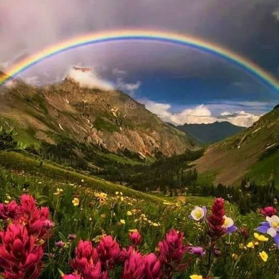 Удивительная природа