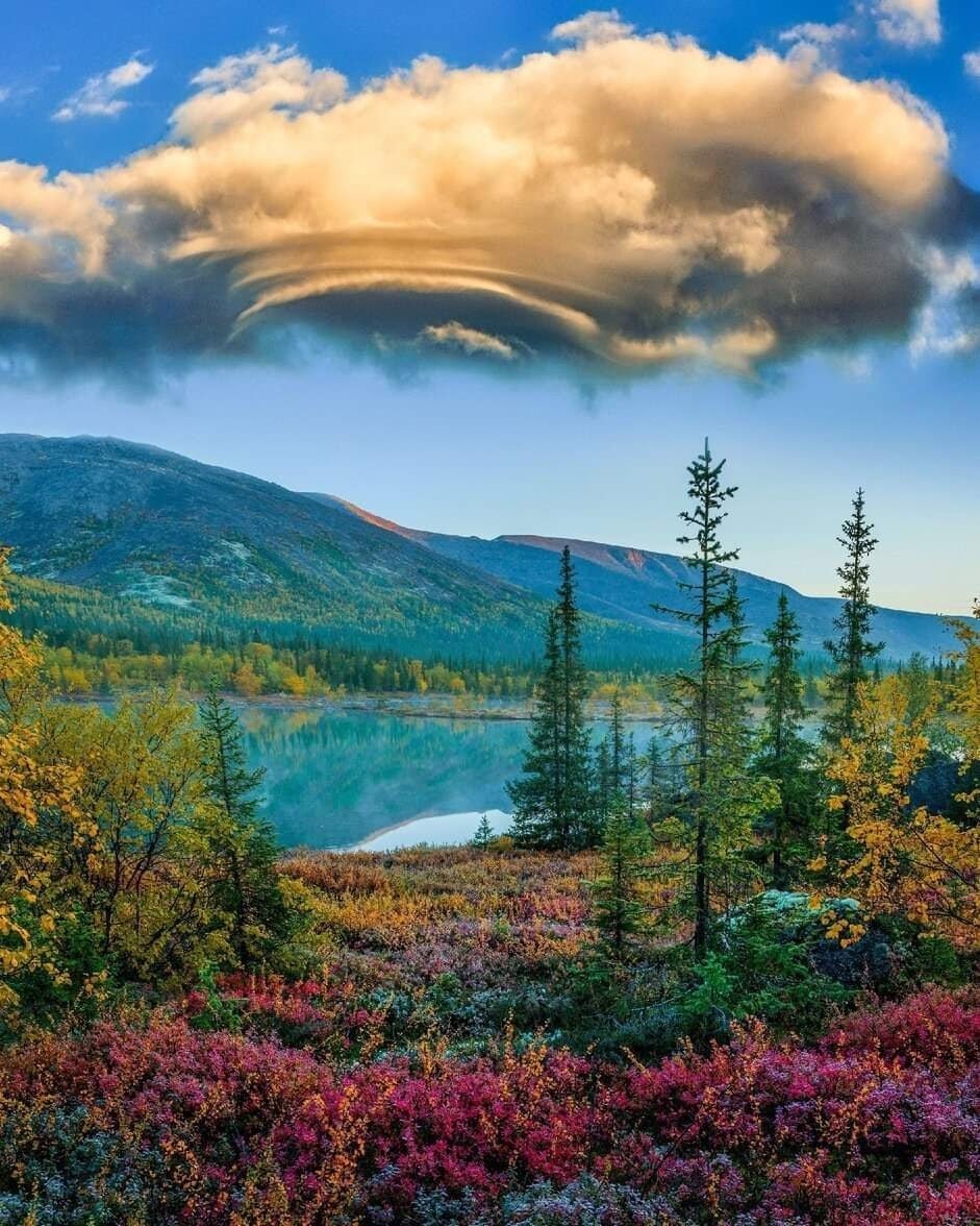 Природа Кольского полуострова