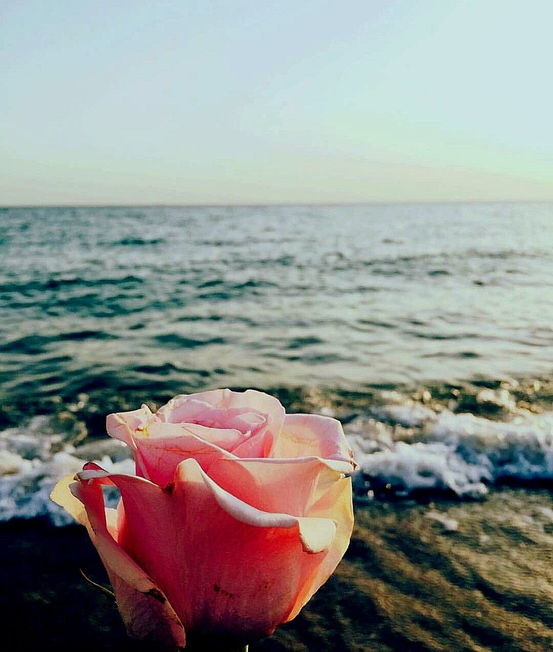 Букет на берегу моря