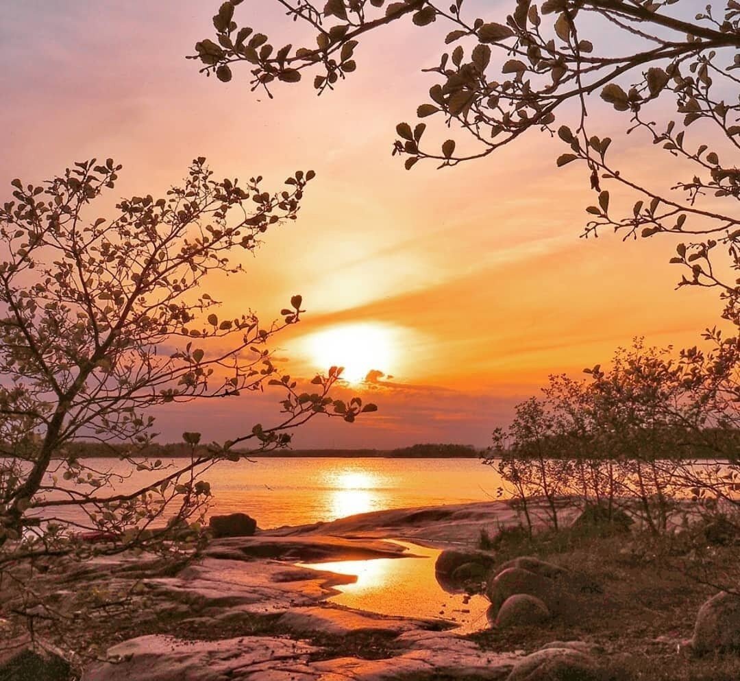 Нежный закат природа