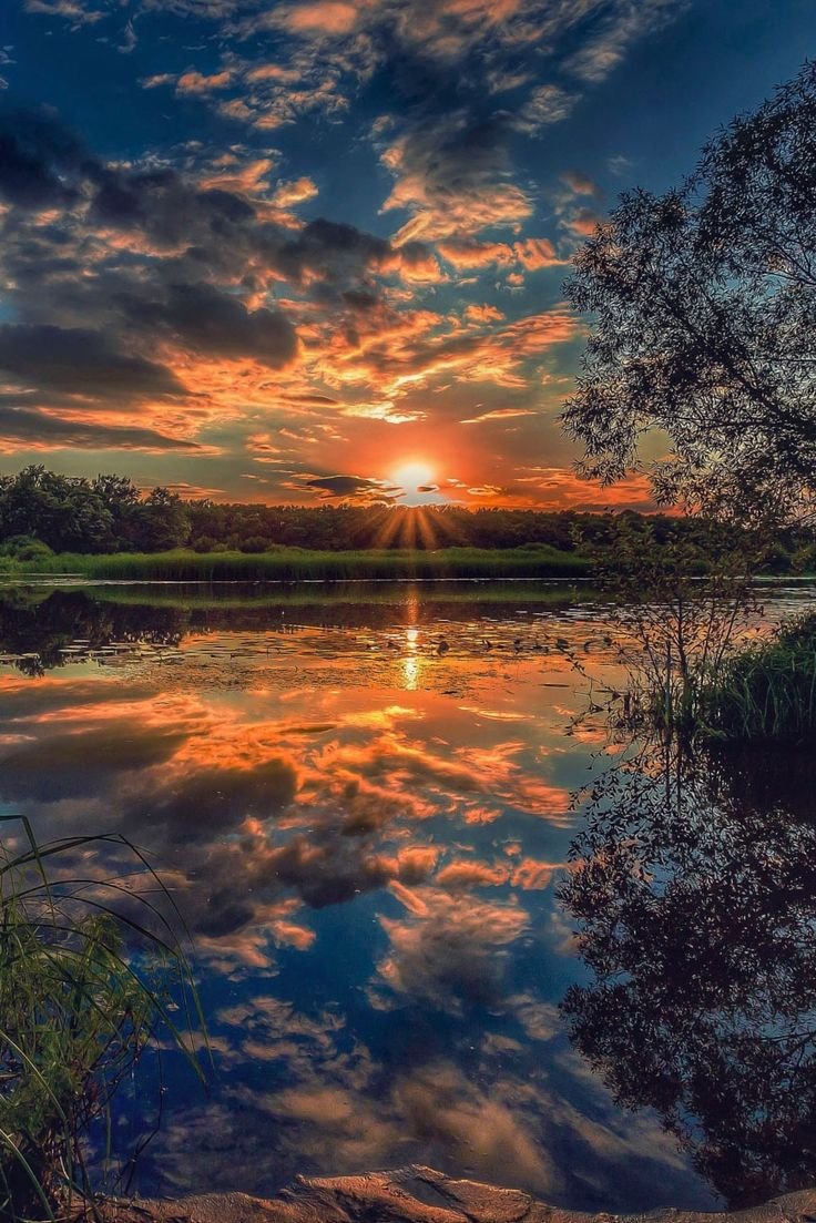 Природа закат