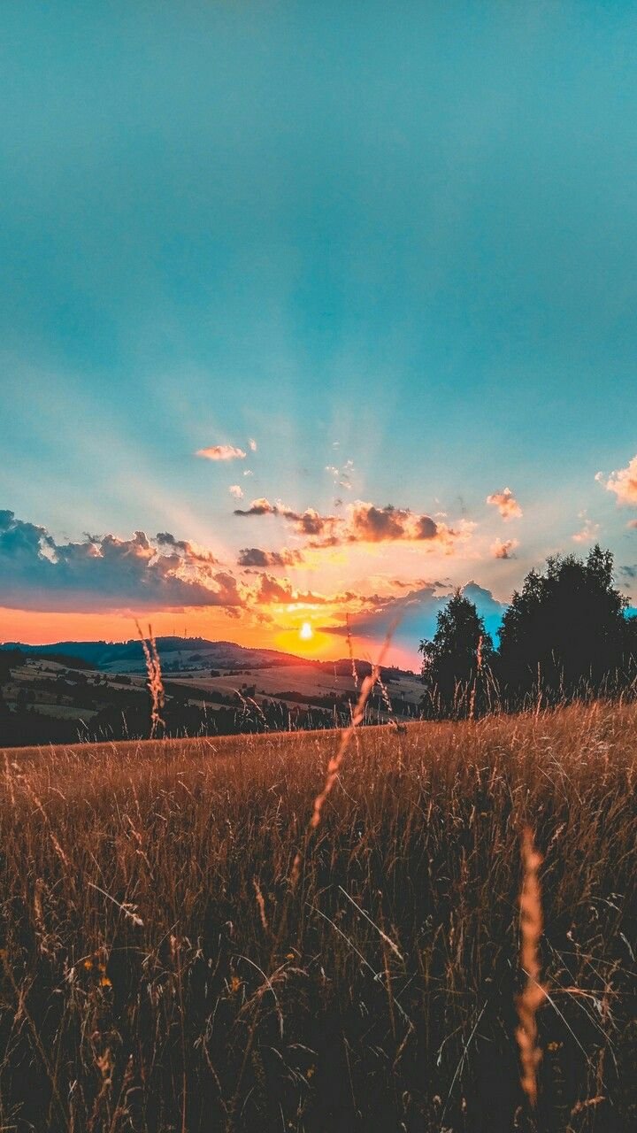 Красивый летний закат