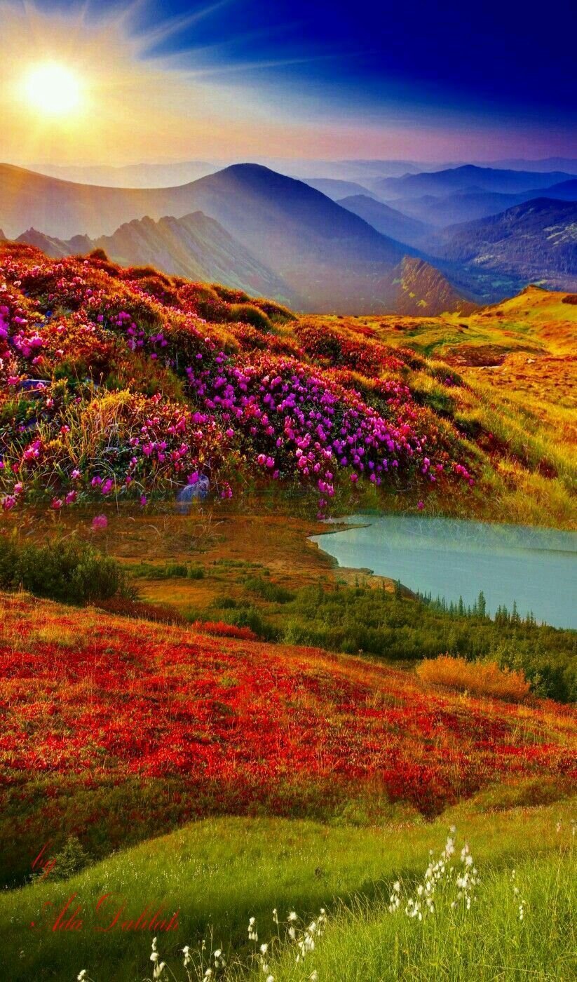 Яркая природа