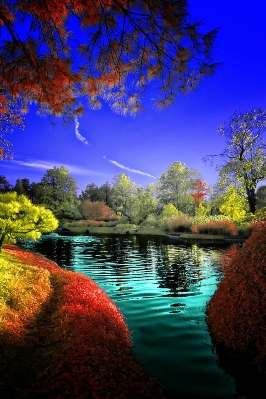 Яркая природа
