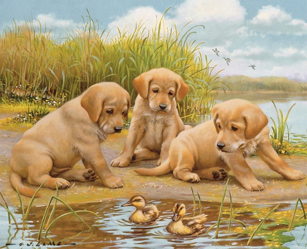 Художник Jim Lamb