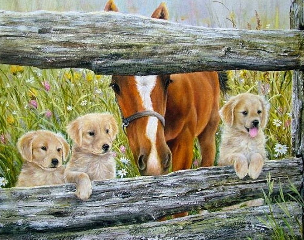 Художник Shirley Deaville