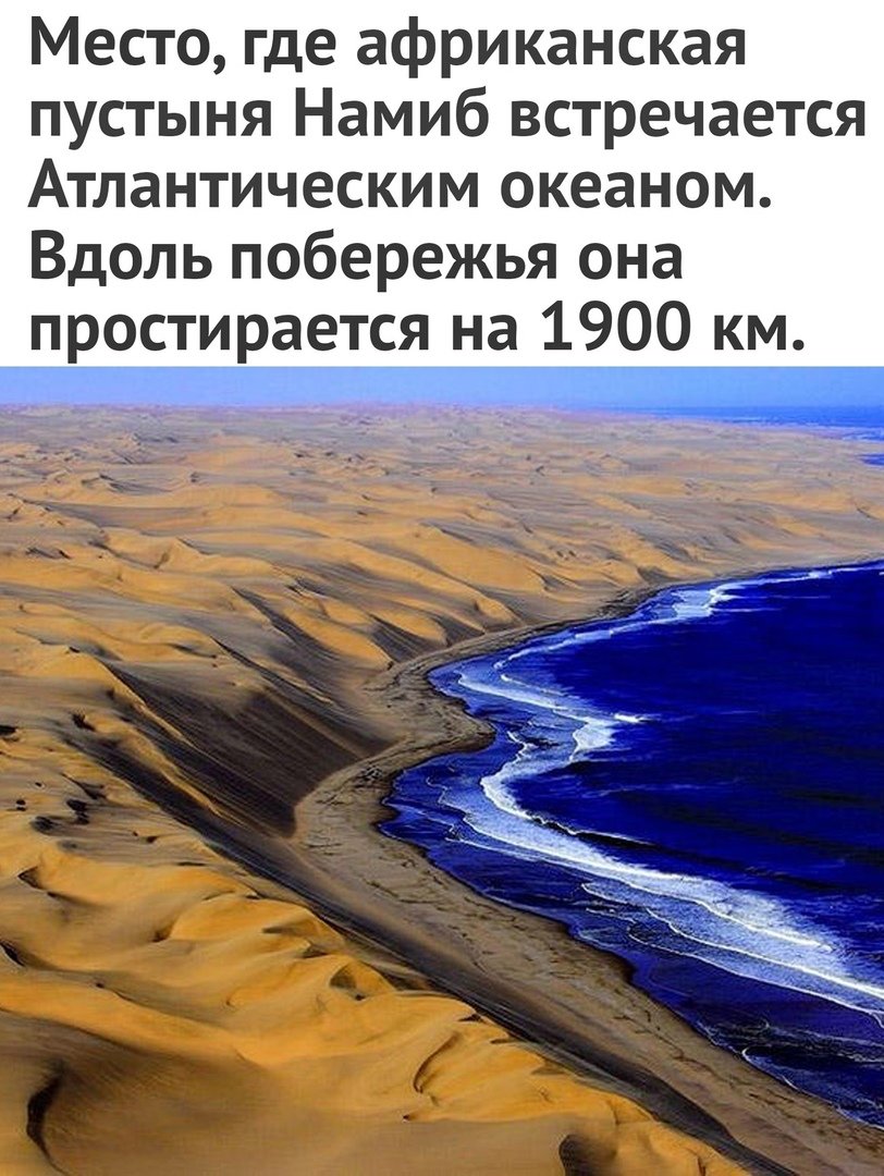 Пустыня Намиб и Атлантический океан