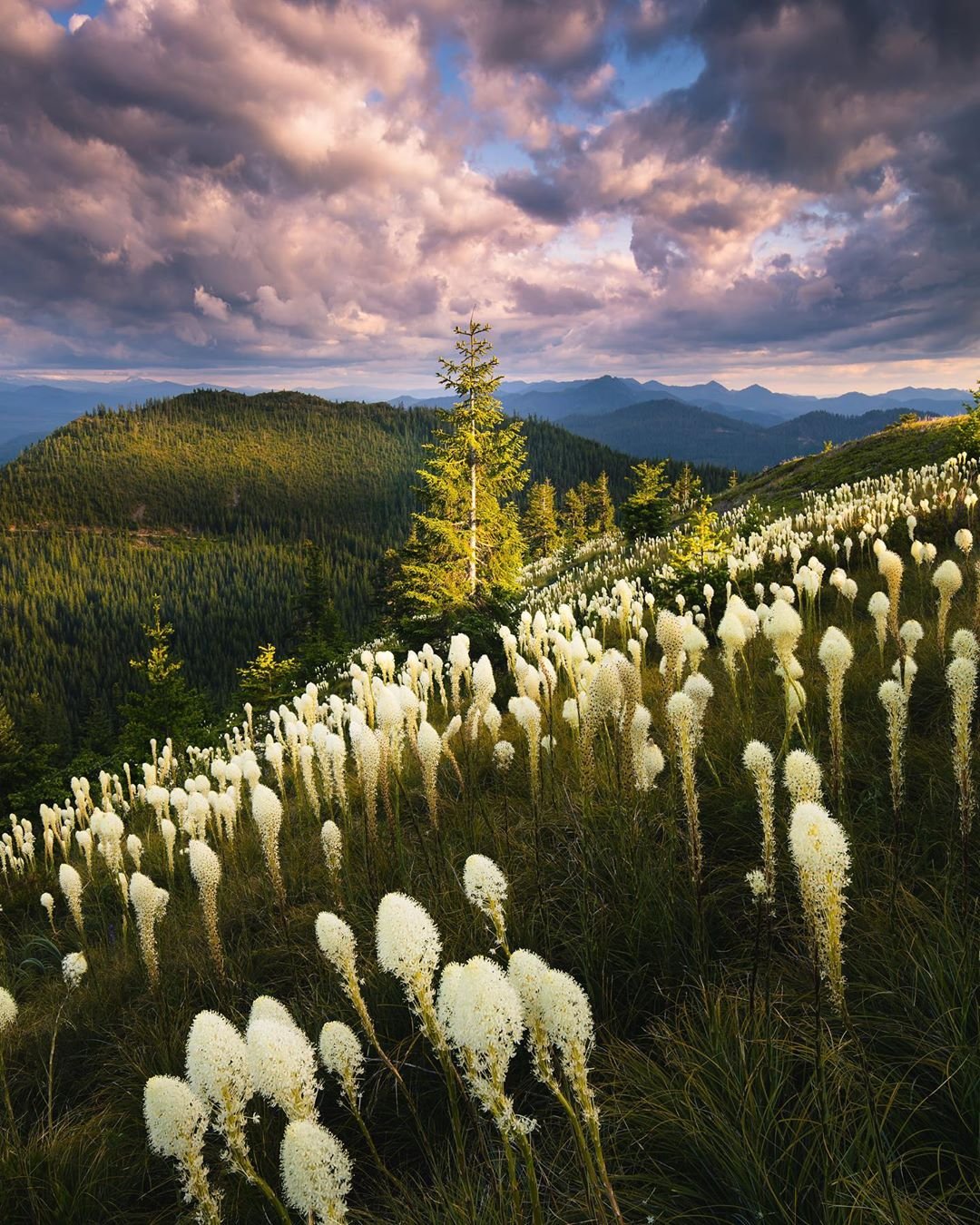 Красота природы