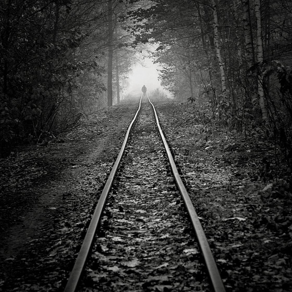 Фотохудожник Leszek Bujnowski