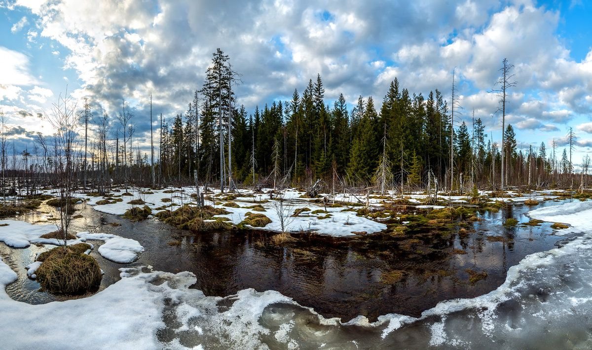 Болотное фото зима