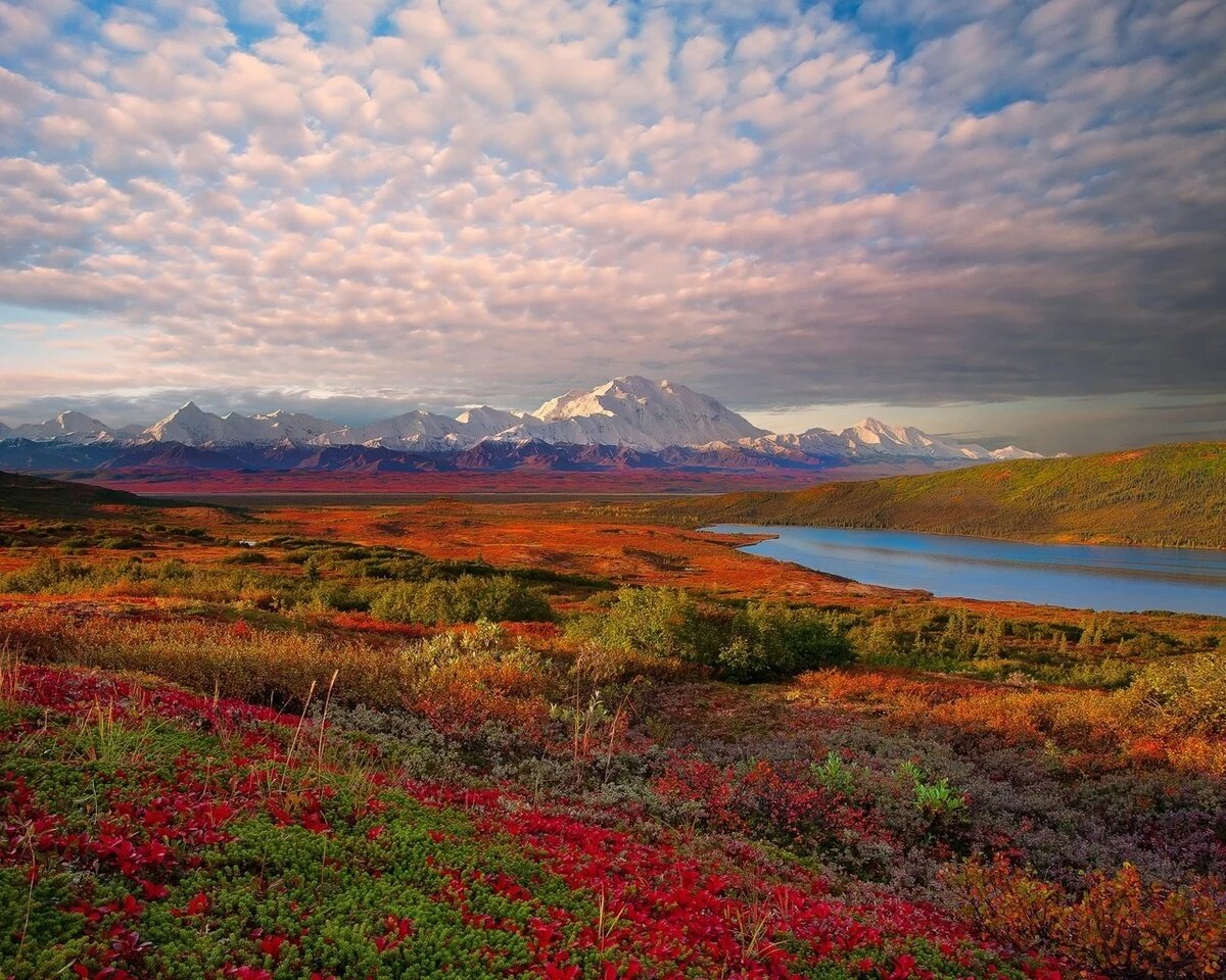 Северная природа