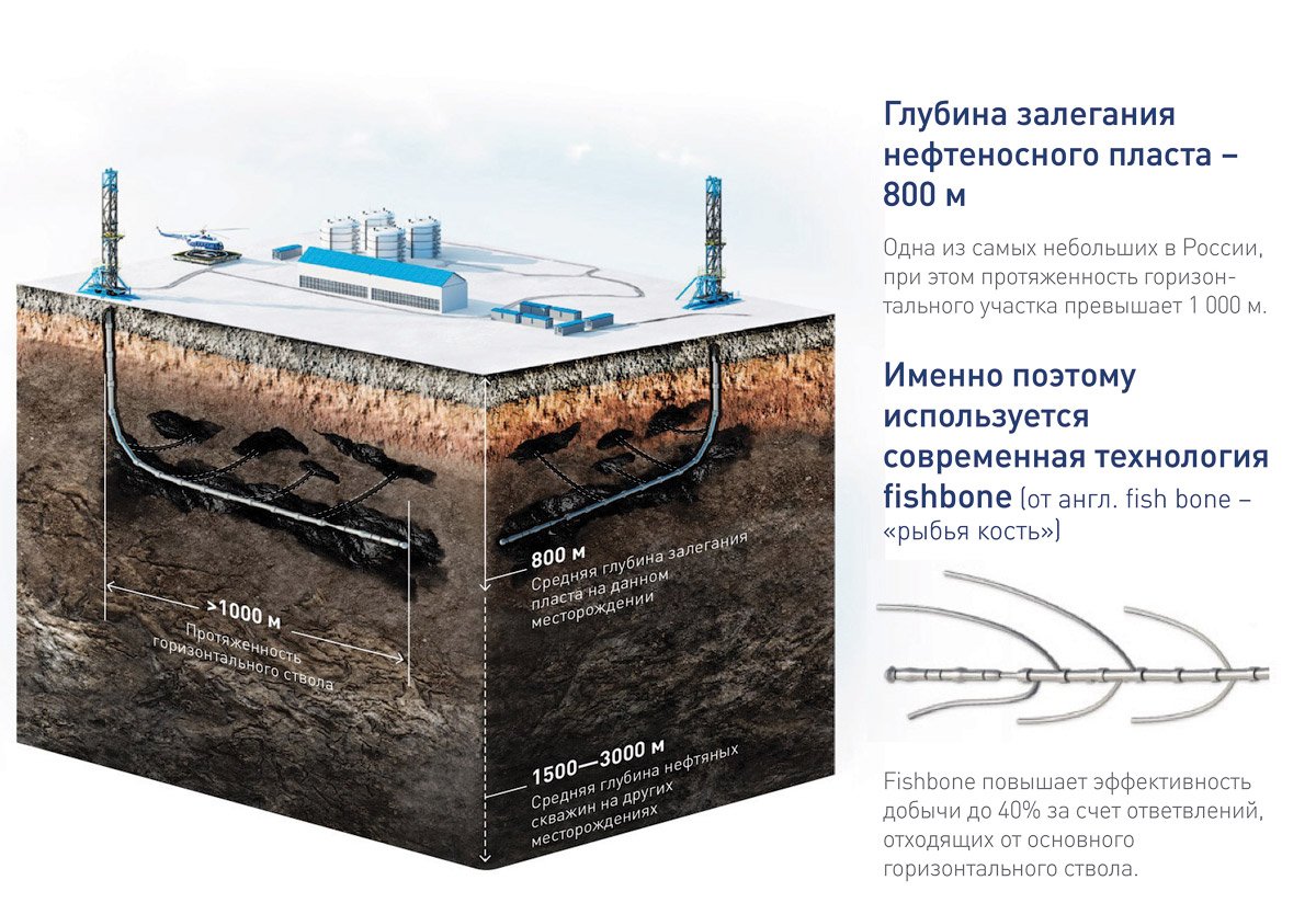 Восточная Мессояха месторождение