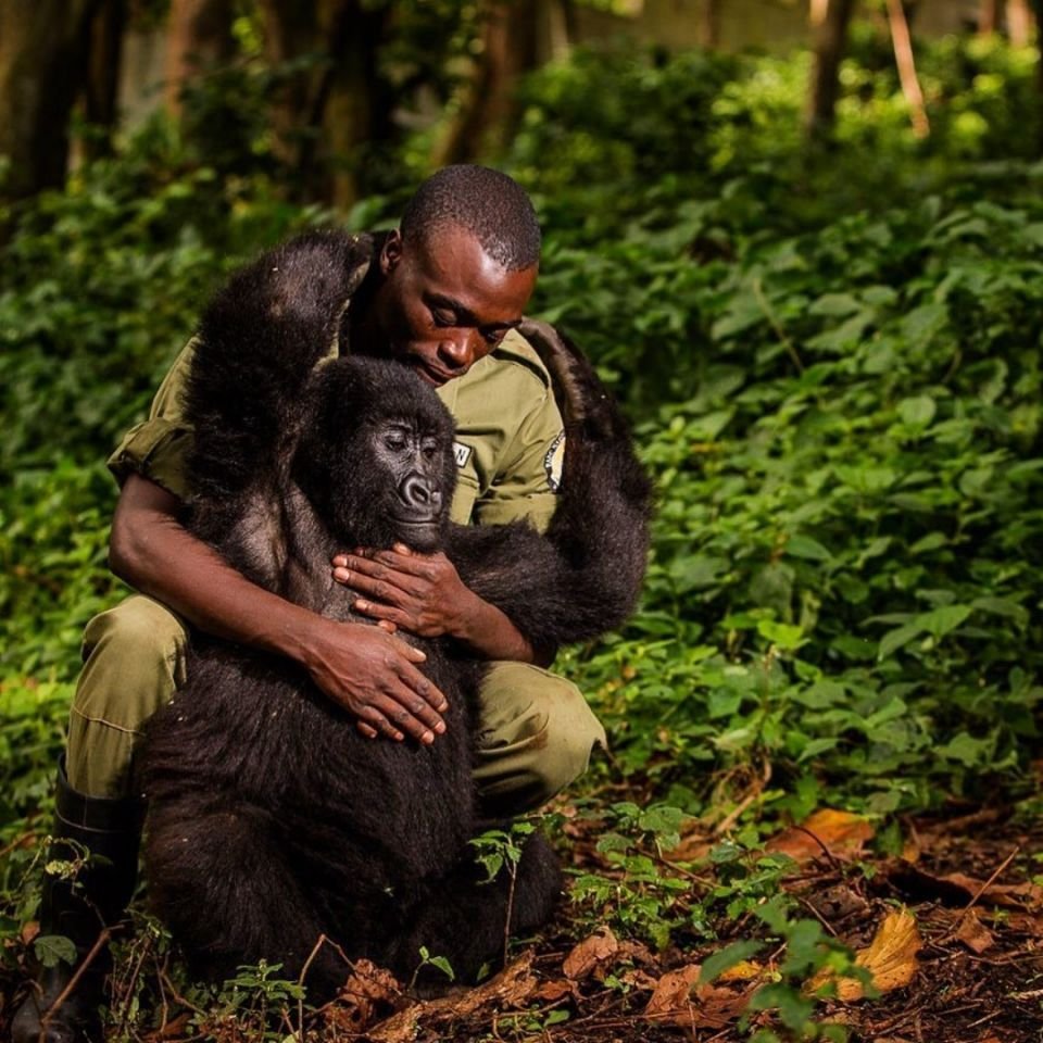 Победители фотоконкурса National Geographic 2019