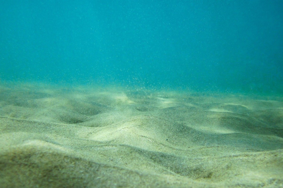 Морское дно