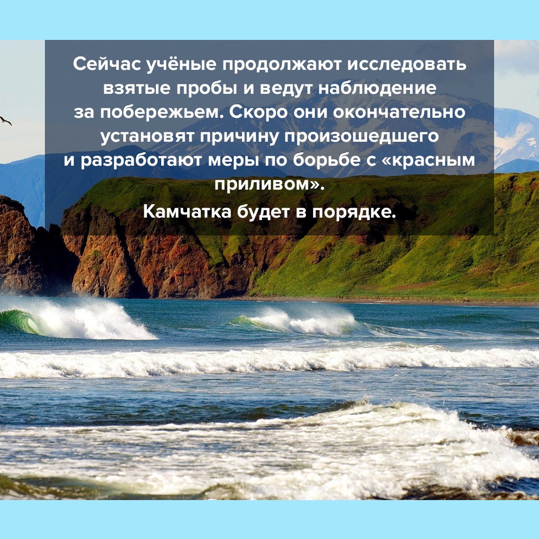 Красный прилив на Камчатке