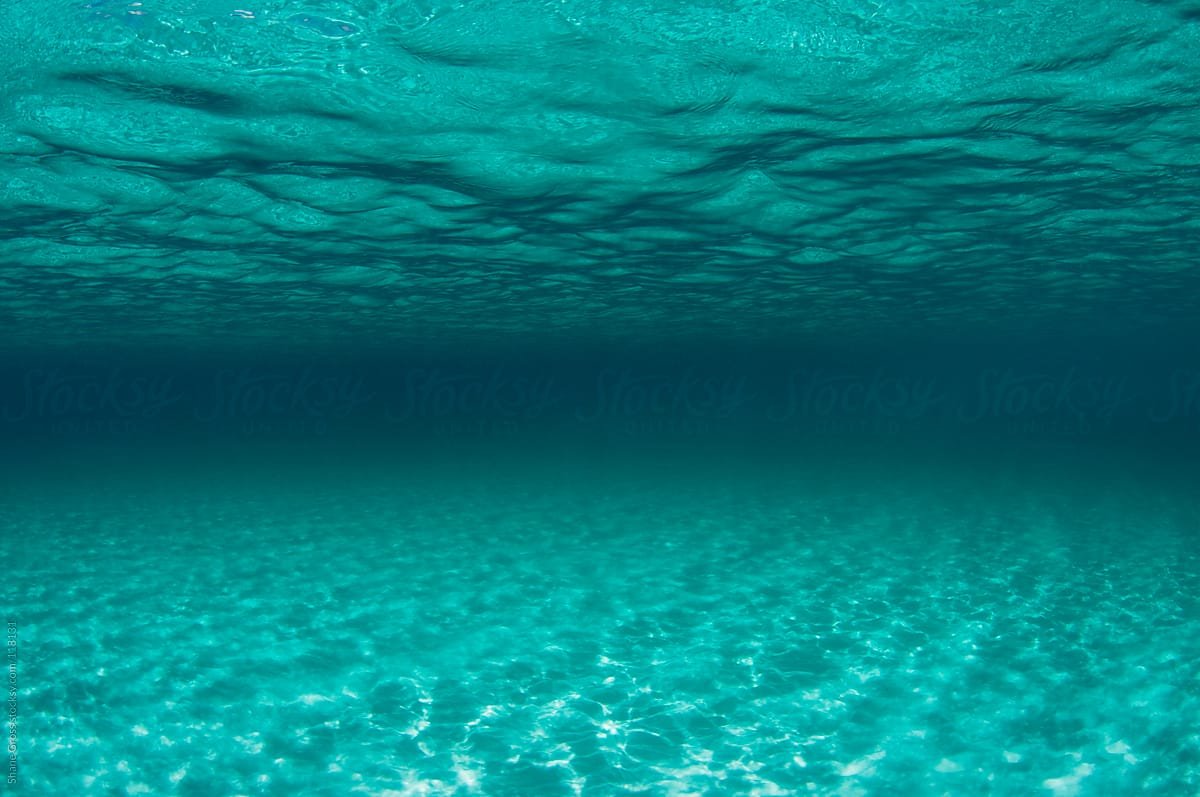 Песчаное дно моря