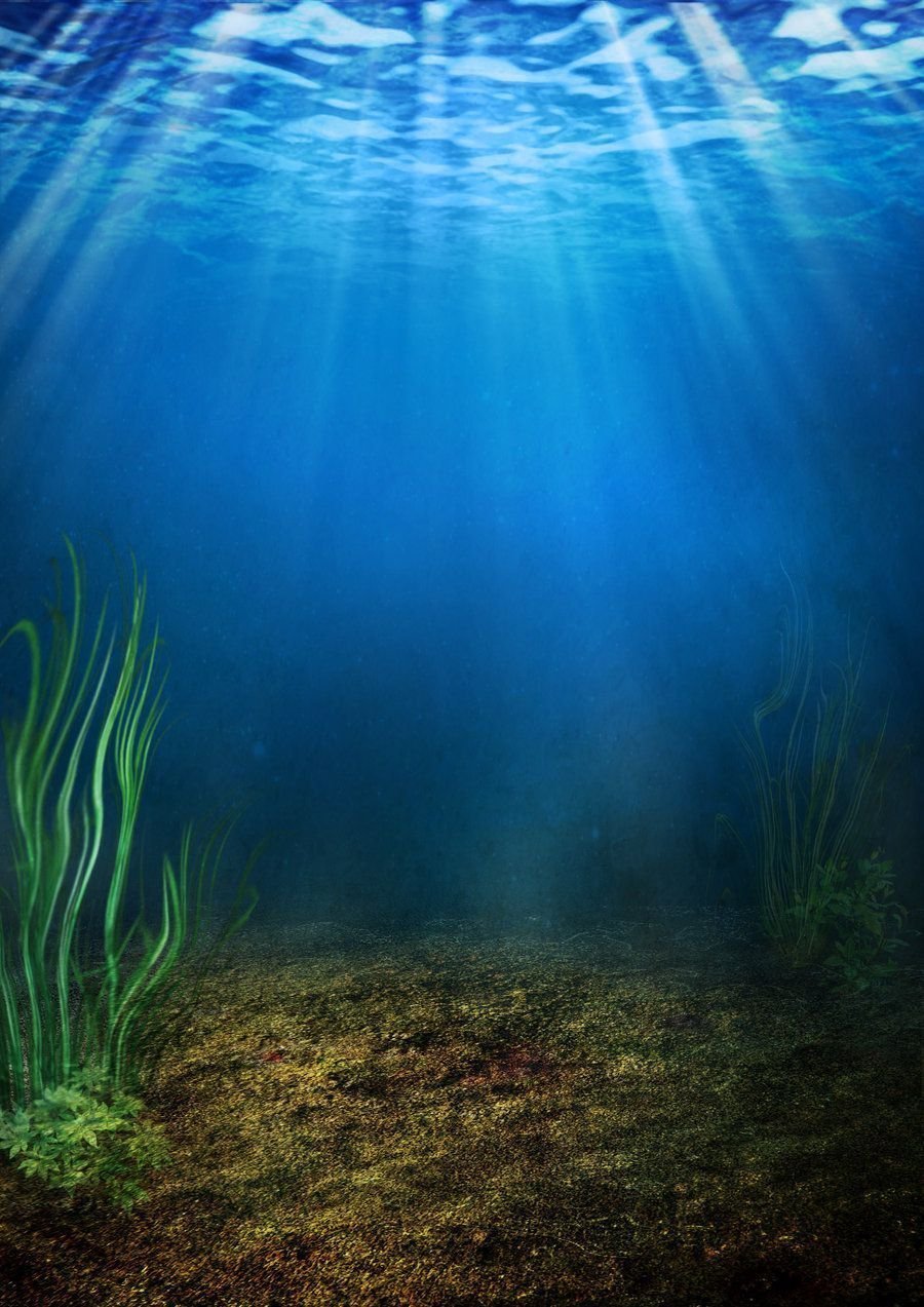 Под водой