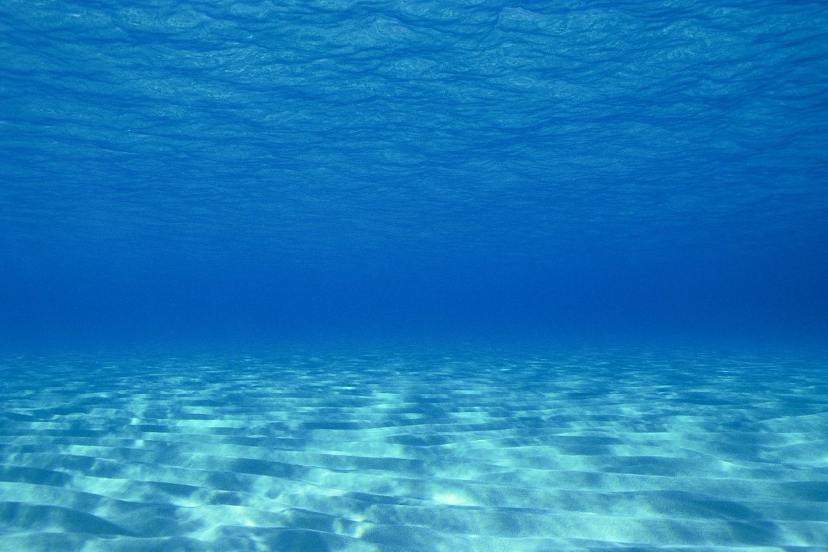Дно моря