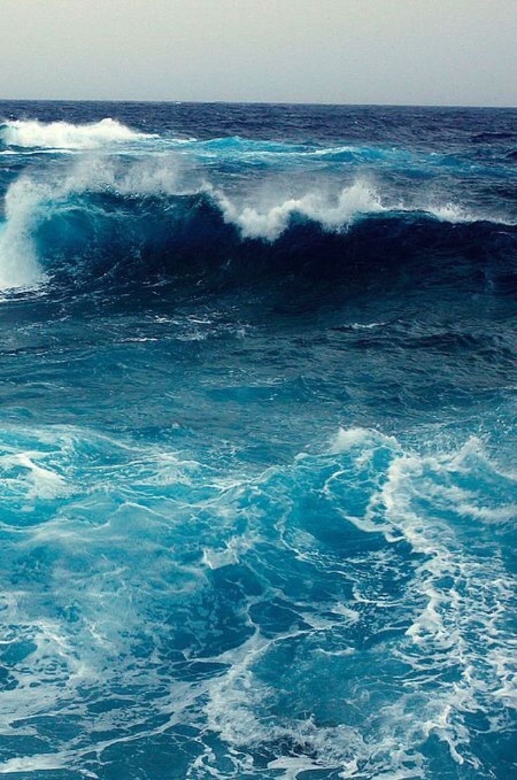 Моря и океаны