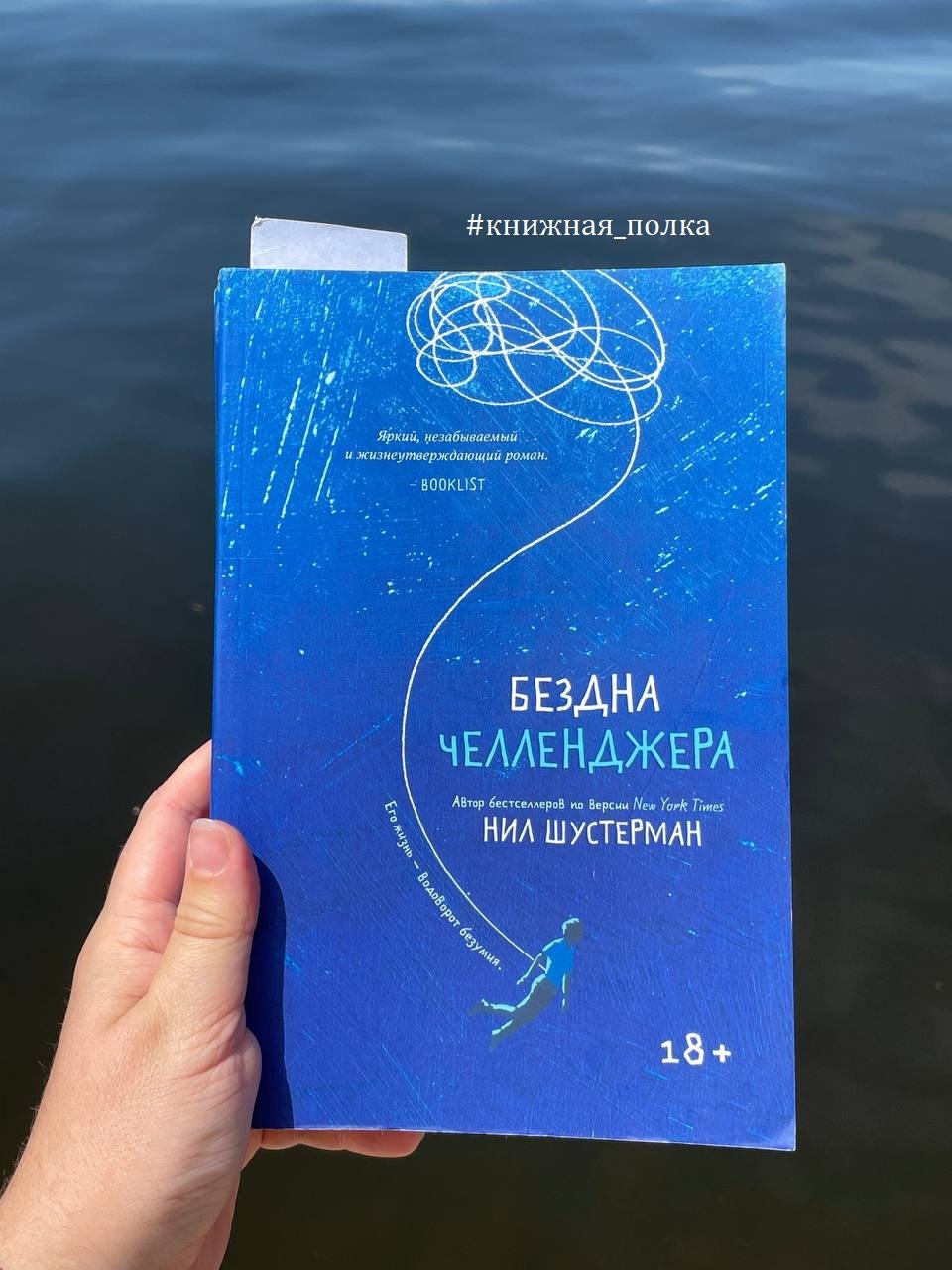 Бездна Челленджера книга