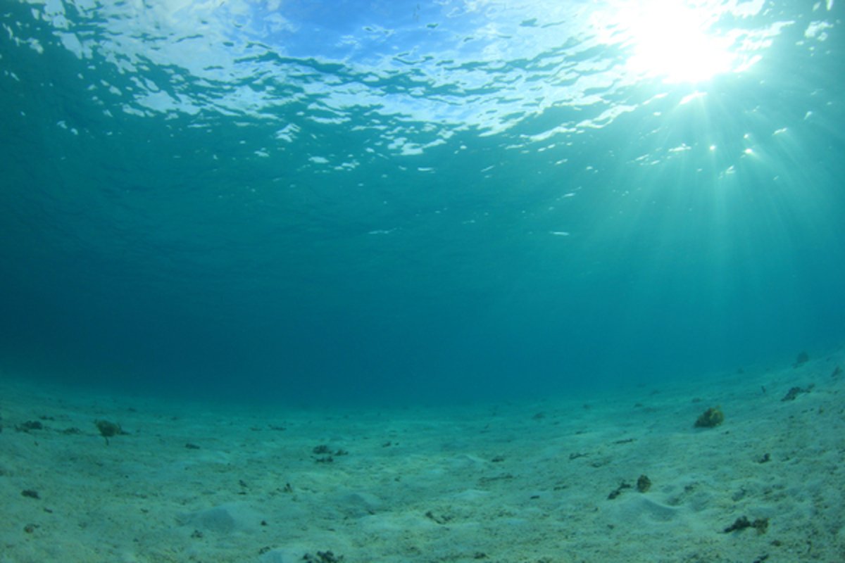 Дно моря