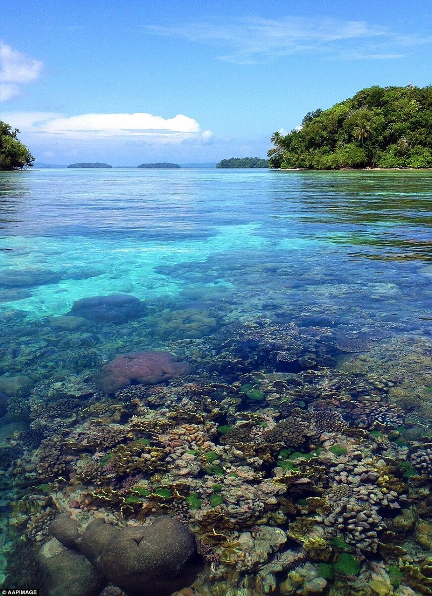 Marovo Lagoon