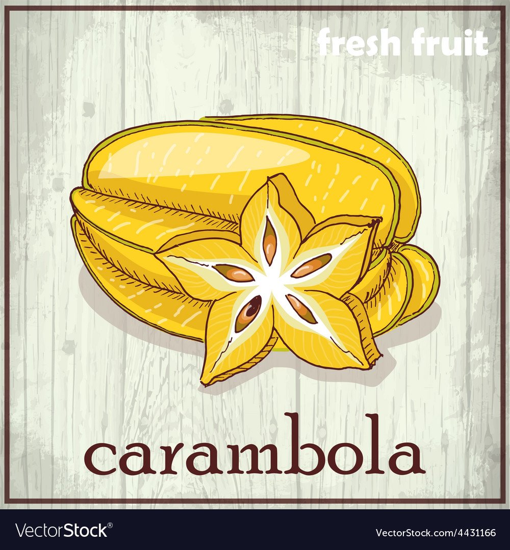 Carambola иллюстрация