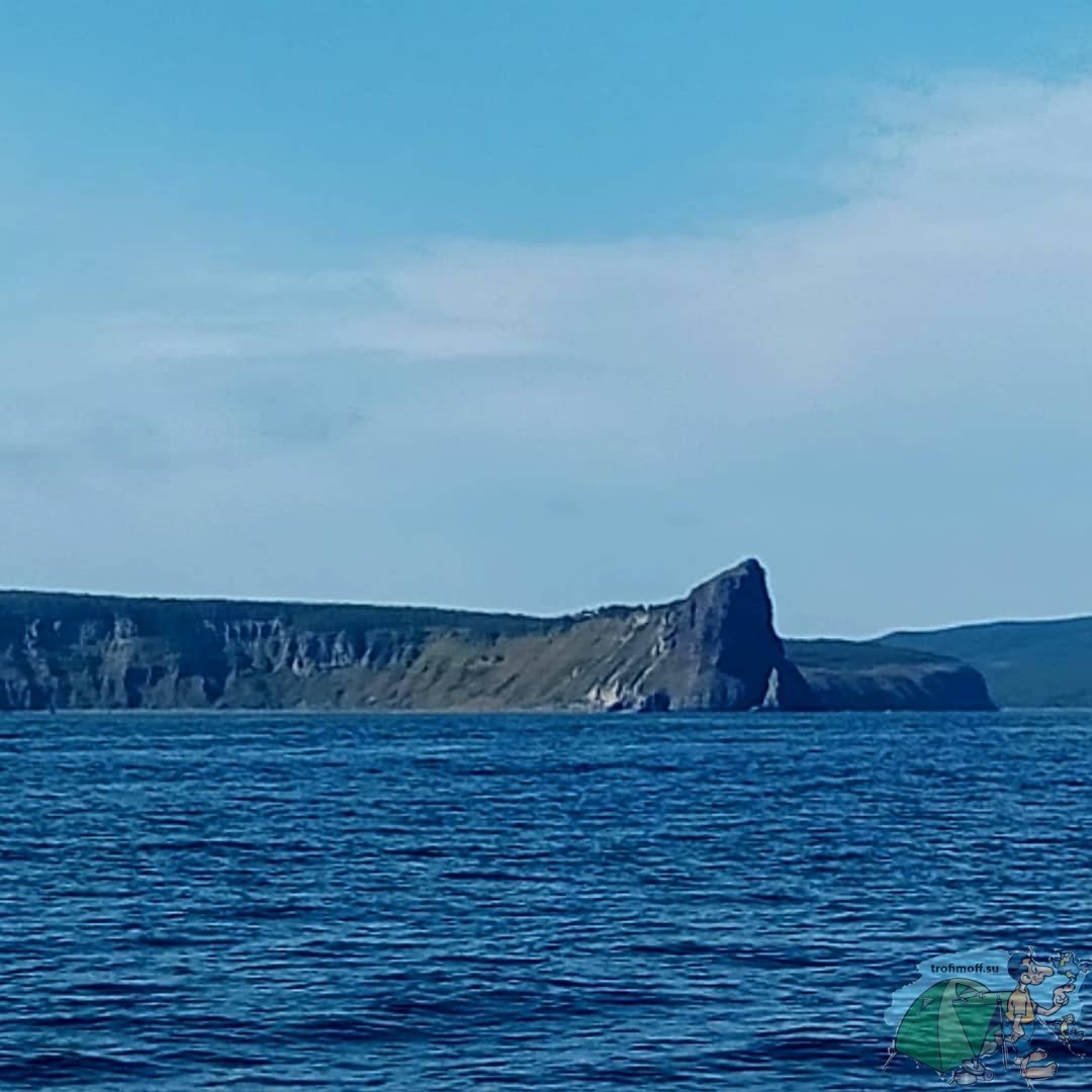 Камчатка Графика береги Камчатку