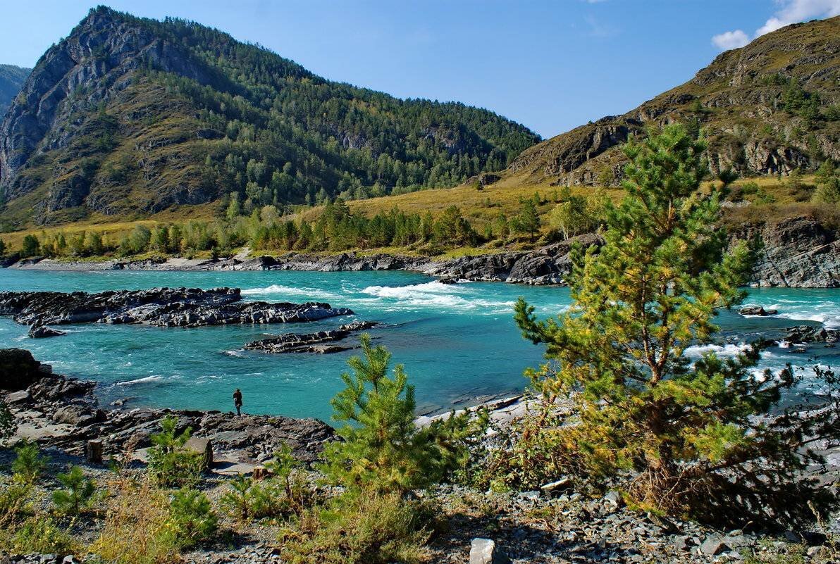 Алтайский край Катунь река горный Алтай