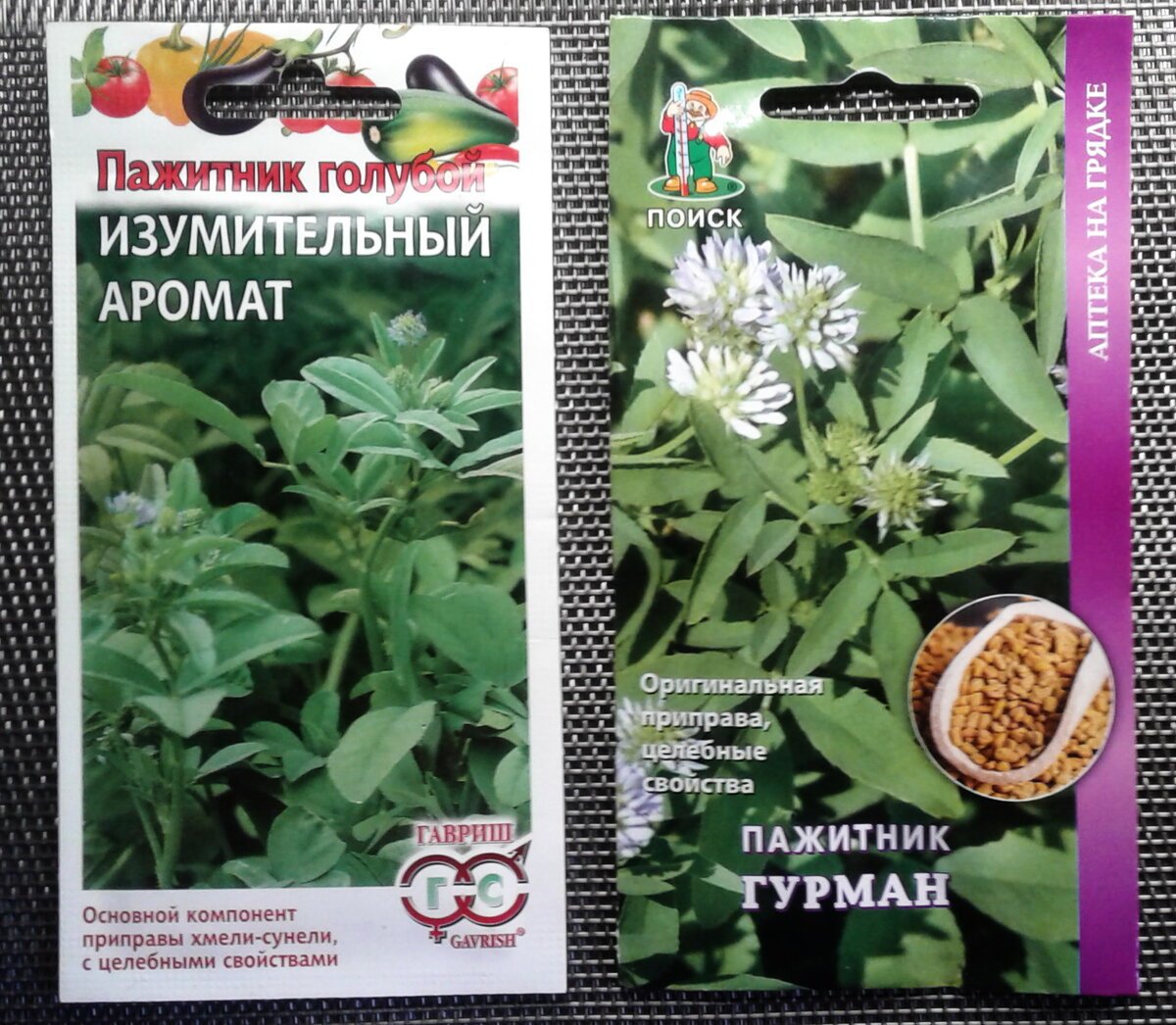 Пажитник растение