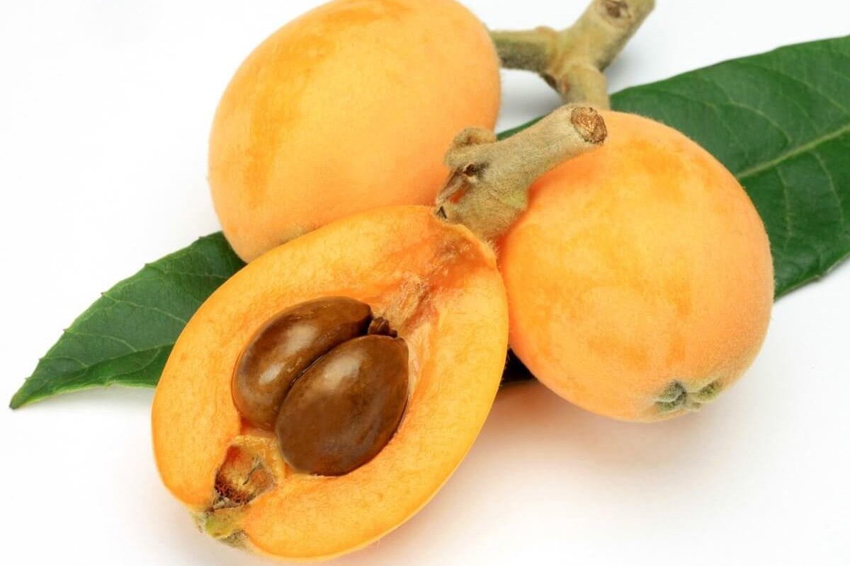 Loquat фрукт