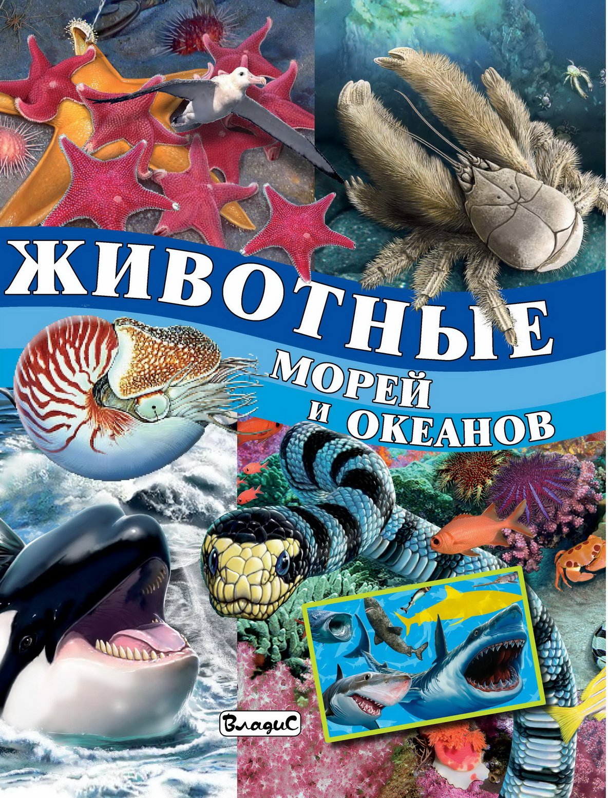 Животные морей и океанов книга