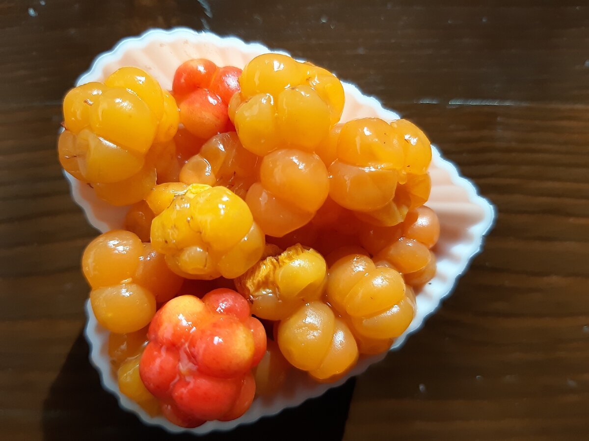 Морошка ягода синяя