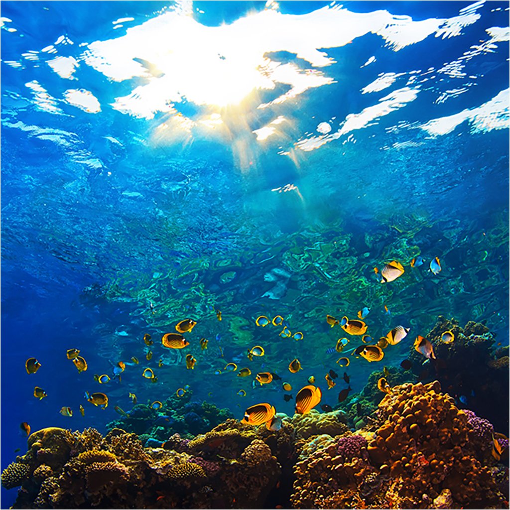 Море под водой