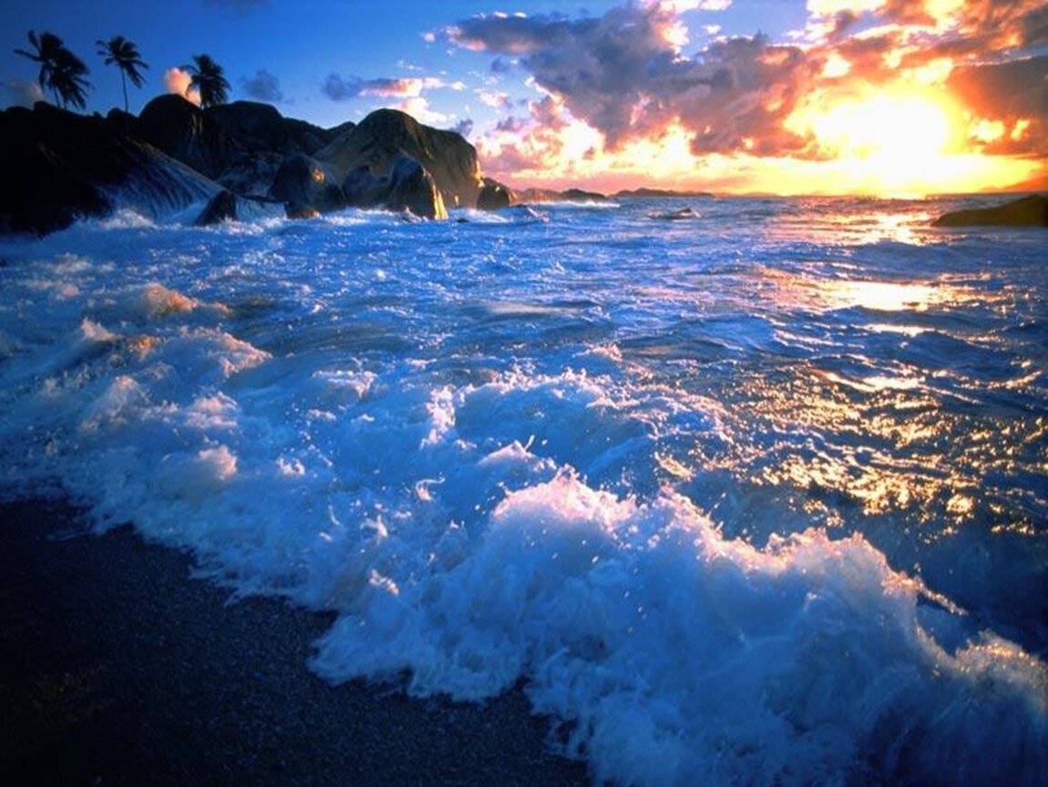 Живое море