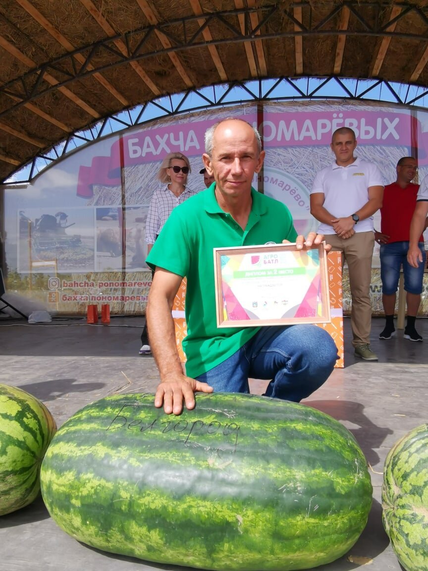 Арбузы Шляховых Белгород