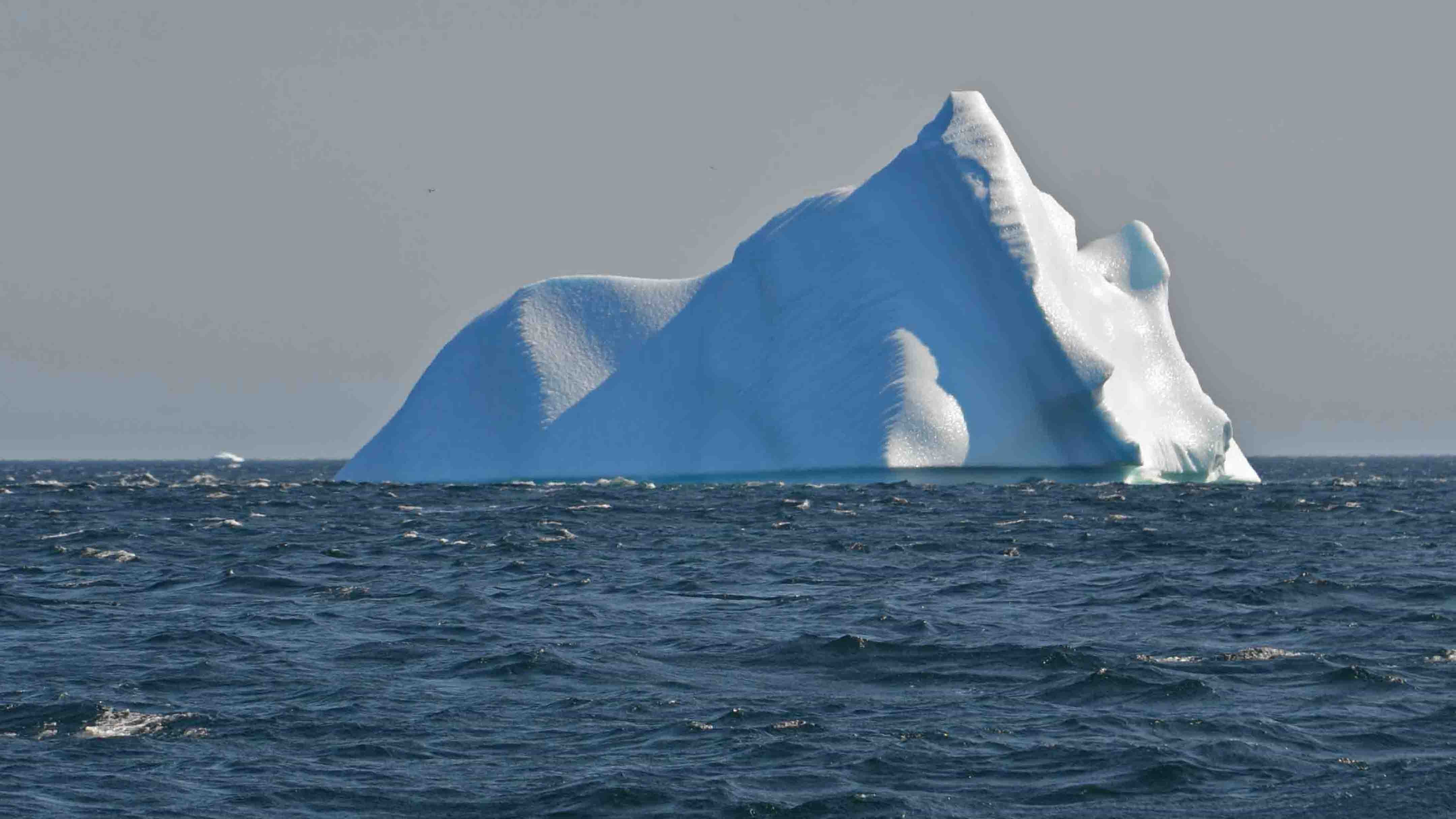Айсберг в океане текст. Северная Атлантика Айсберг. Айсберги в Атлантическом океане. Куполообразные айсберги. Айсберг кинлист.
