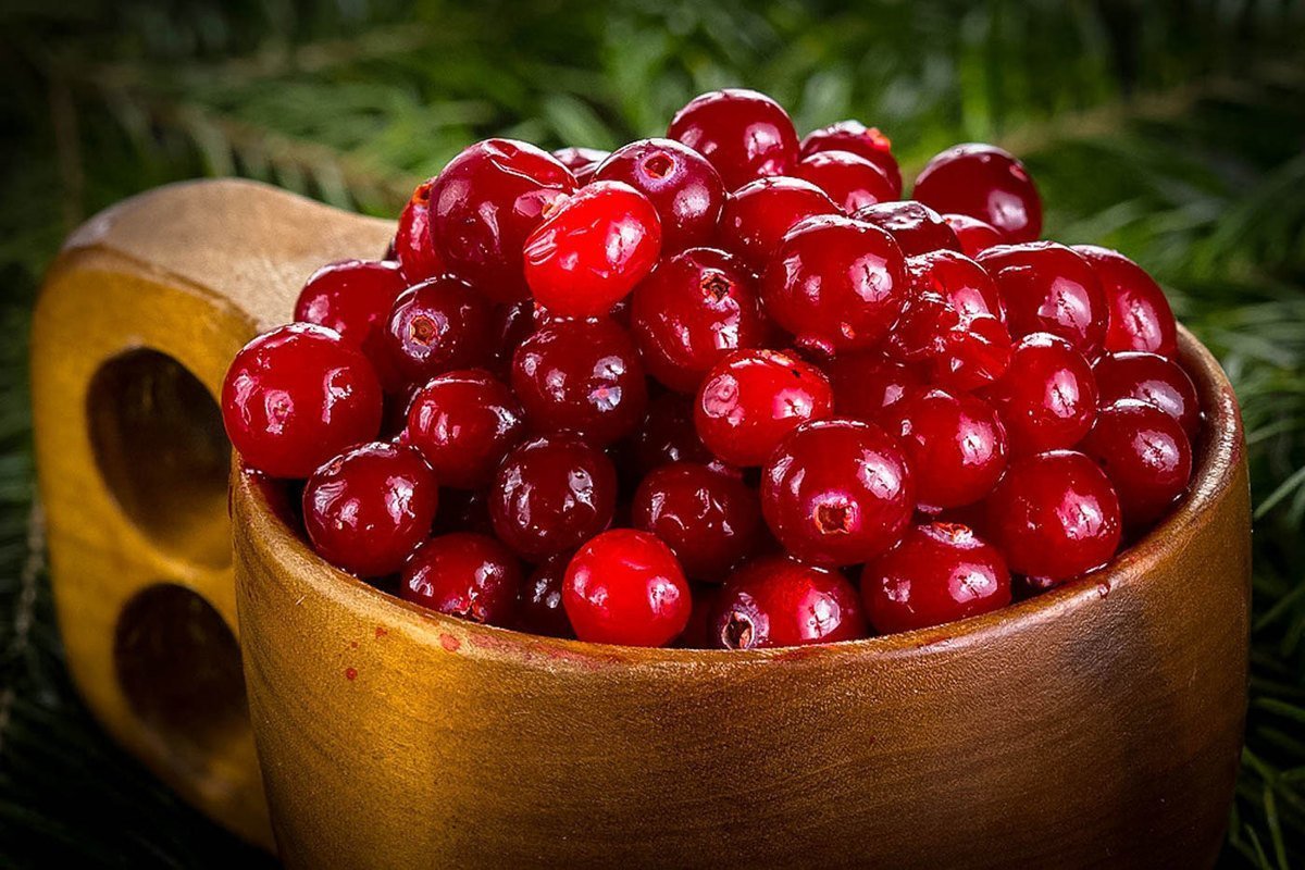Cranberries ягода
