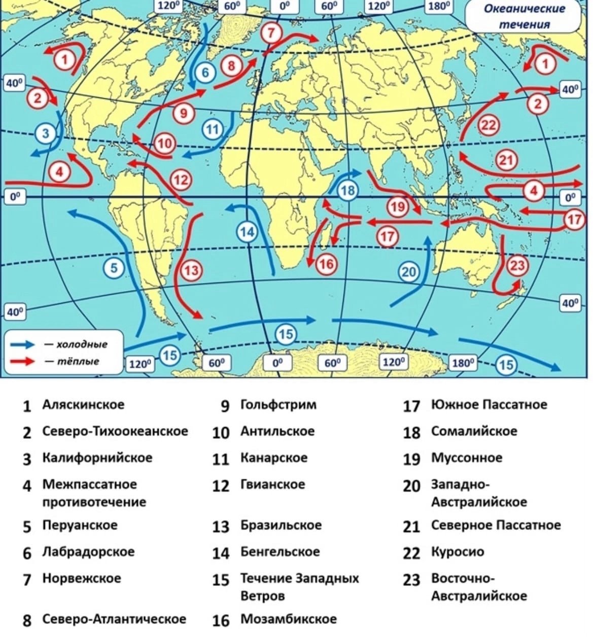 Тёплые и холодные течения на карте мирового океана